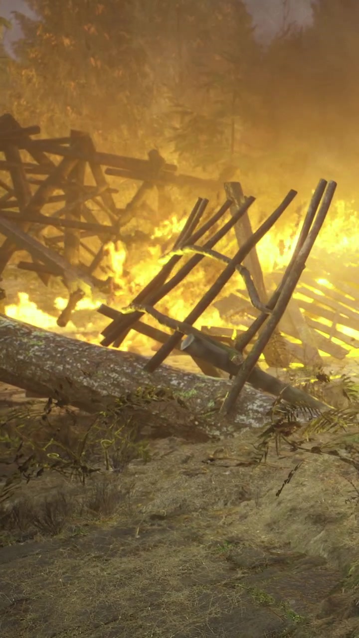 Il fuoco consuma tronchi caduti e legna sparsa in una radura nel bosco al crepuscolo