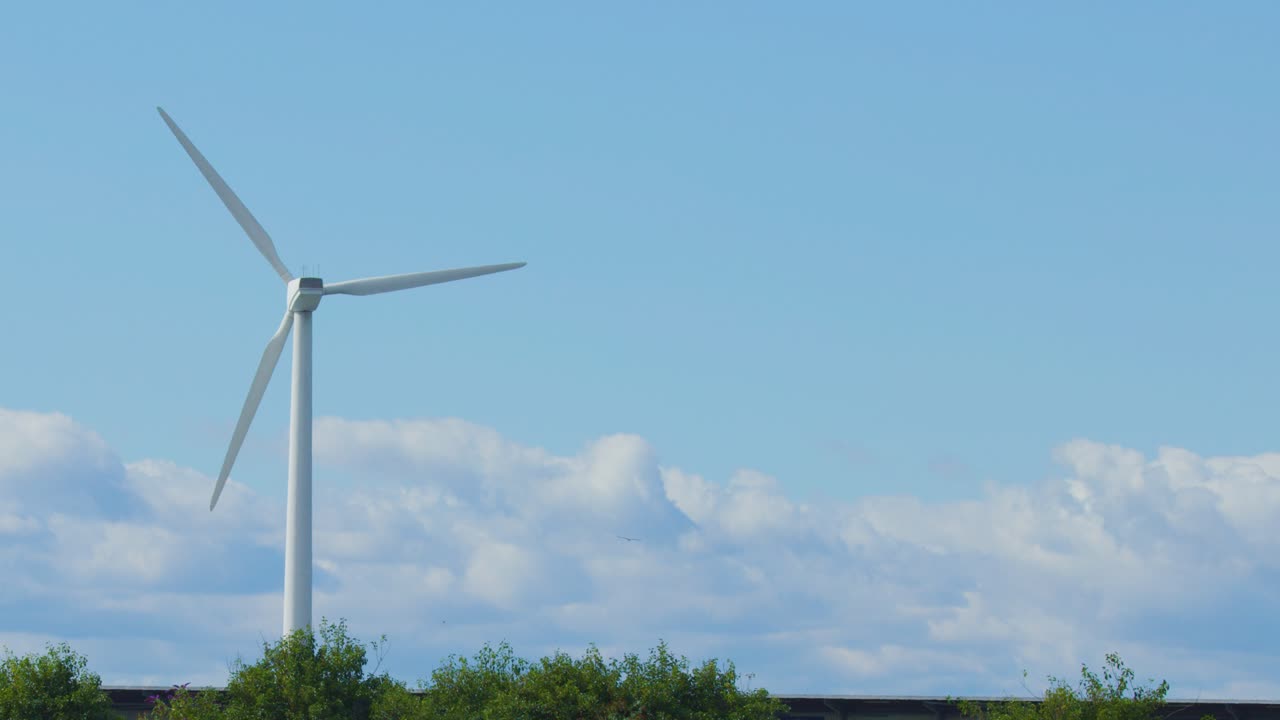 A single wind turbine slowly rotates above green coastal vegetation with a clear blue sky and scattered clouds, captured in steady daylight with minimal camera movement