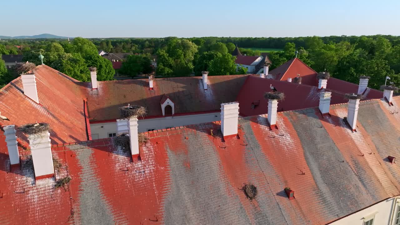 Stork Nests on the Red-Tiled Roof of an Old Building