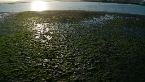 la ciudad de la bahía brumosa cuando baja la marea por la tarde