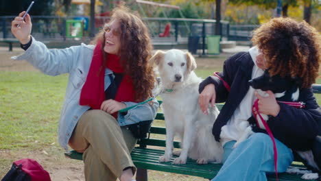 cheerful women taking selfies with dogs in the park