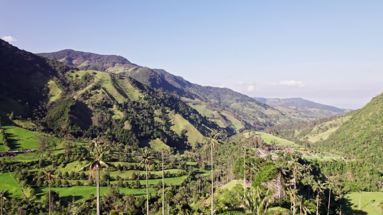 Drone threads between towering wax palms to reveal a green Andean valley, Aerial
