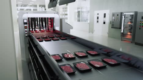 bandejas de carne cruda envasadas en una cinta transportadora en una fábrica