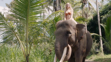 mujer feliz montando un elefante en la jungla explorando el exótico bosque tropical divirtiéndose en una aventura con un compañero animal 4k