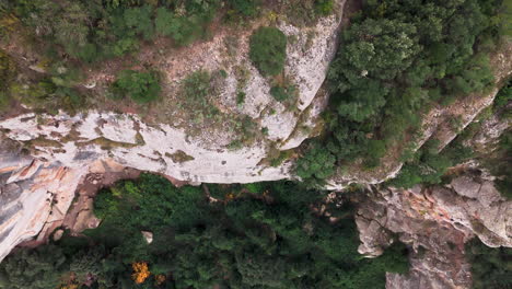 drone top-down shot, ascending over an epic cliff surrounded by lush green overgrowth on an overcast day