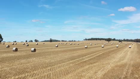 Una-Excelente-Toma-Aérea-De-Balas-Recolectadas-En-Tierras-De-Cultivo-En-Parkes,-Nueva-Gales-Del-Sur,-Australia