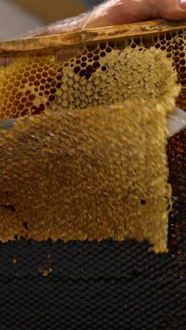 the layer of wax is removed with the help of electric knife appliance. apiarist prepares frames with honeycombs for extracting honey. vertical video