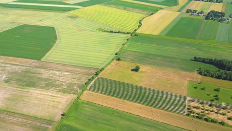 formas geométricas abstractas de parcelas agrícolas de diferentes cultivos en colores amarillo y verde