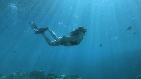 free diving girl under water in the red sea chasing a a big group of fish with the magic of sunlight shot raw cine style color profile