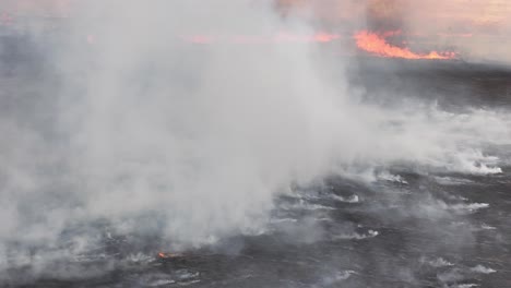aftermath of a devastating wildfire. smoke and fire b-roll representative of carolina fires.