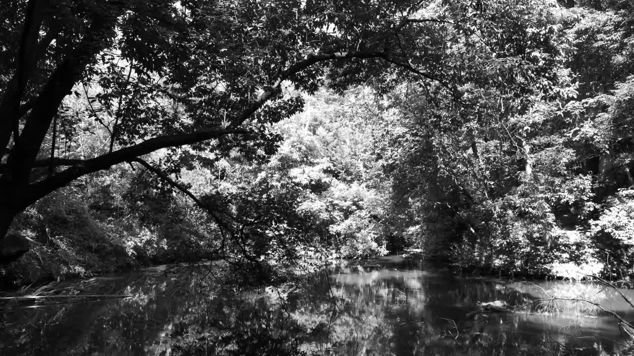 таинственное болото в горах японии