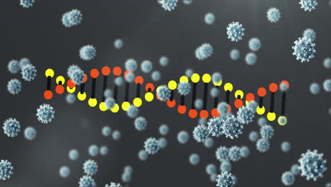 animación de las células de covid-19 y hilado de cadena de adn