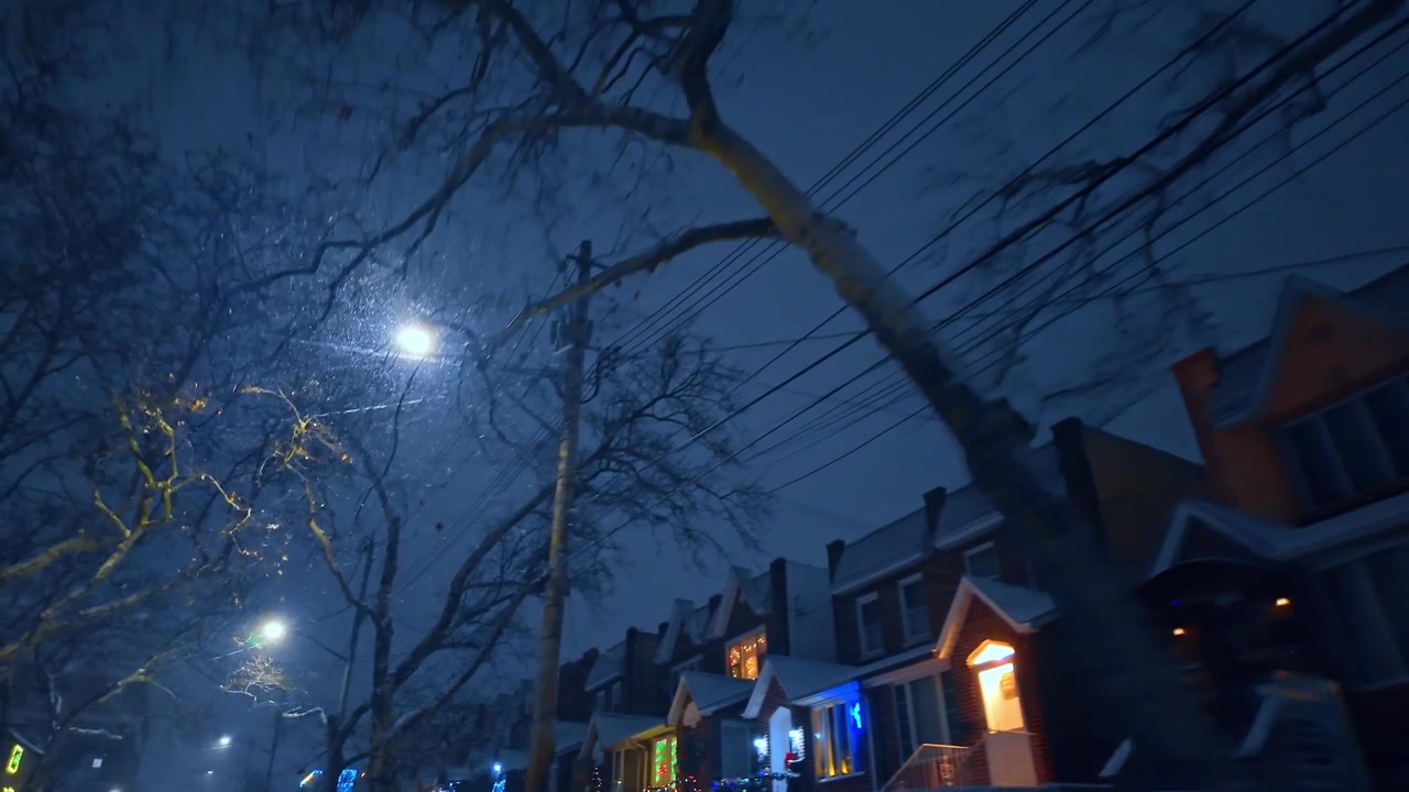 夜のブルックリンの、架空線がある雪の住宅街。移動するローアングルビューでは、葉のない木々、電線、家々、街灯が暗い青色の冬の空の下に写っている