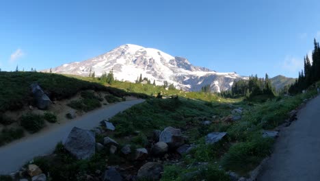 Aufnahme-Von-Mount-Rainer-Vom-Skyline-Trail-Mit-Schattiger-Wiese-Im-Vordergrund