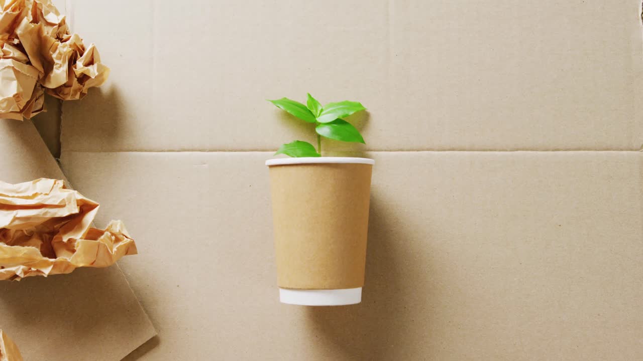 primer plano de basura de papel y taza con planta en fondo de cartón, con espacio para copiar