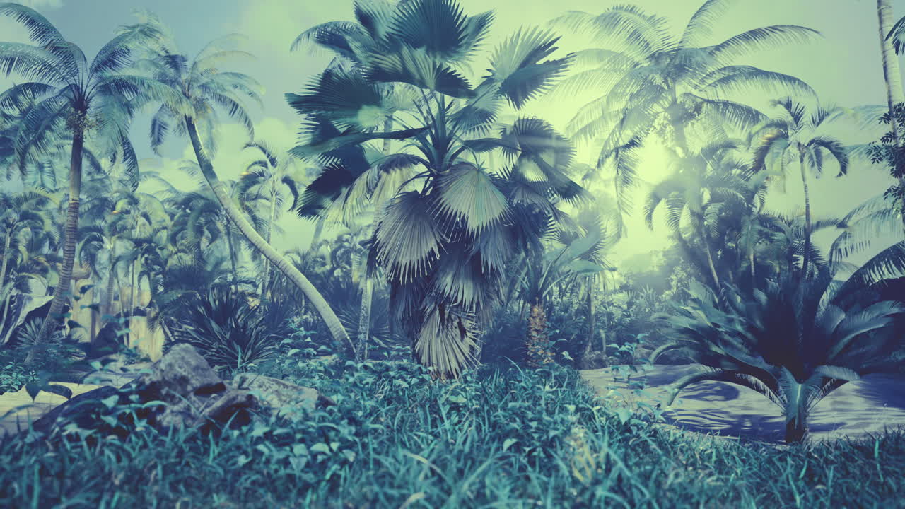 Lush tropical landscape featuring palm trees and thick vegetation in daylight