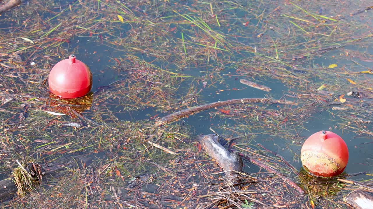 Red buoy gently drifts among floating debris on calm lake, daylight, overhead static shot
