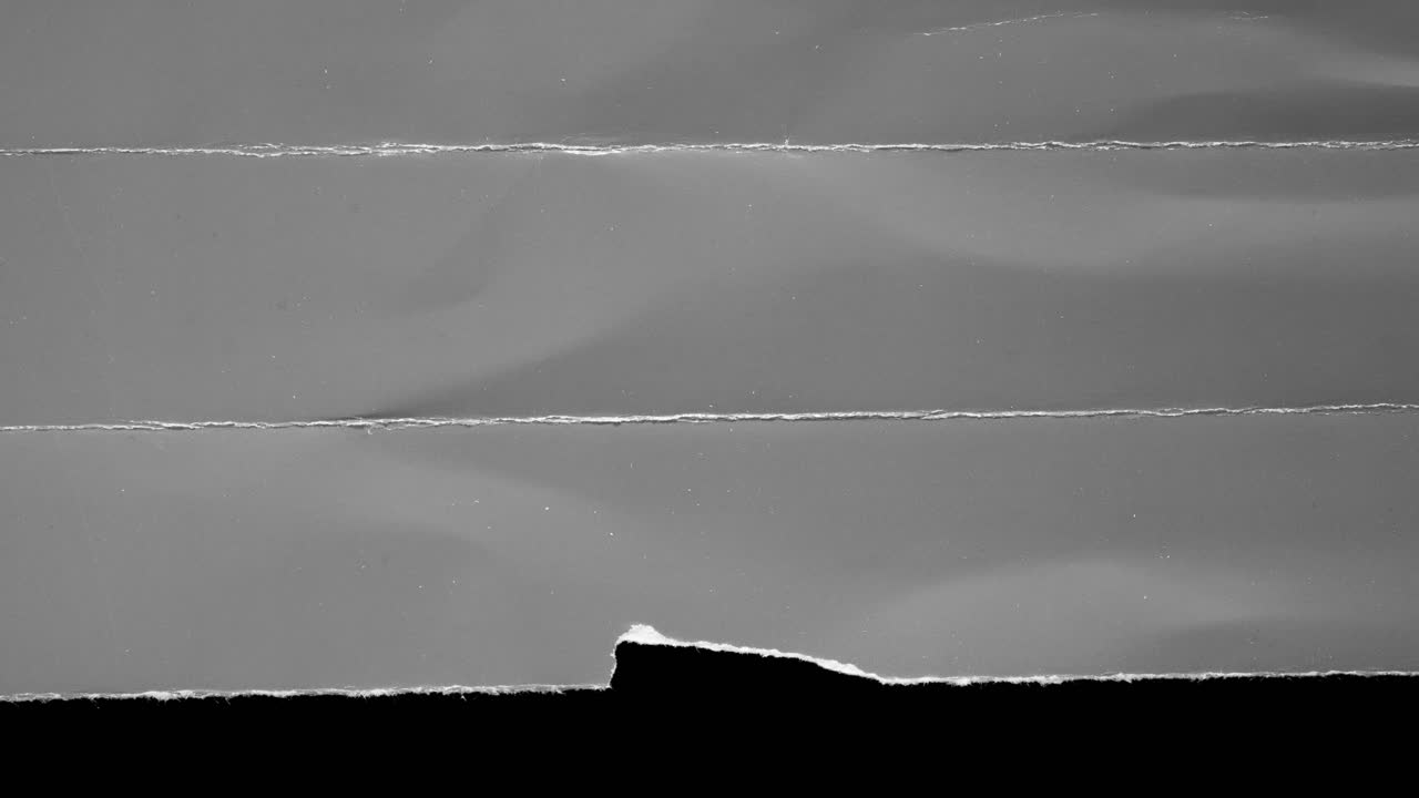 Monochrome Torn Paper Transition Overlay Effect