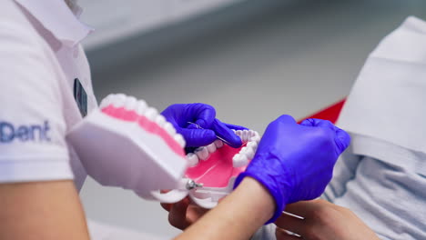 stomatologist learning dental care. female dentist shows on a jaw mock how to use dental floss. close-up. dentistry concept.