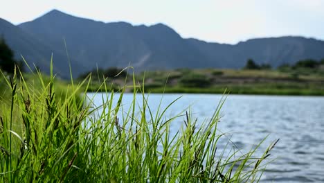 Viento-Suave-Que-Sopla-Sobre-La-Hierba-En-Un-Lago-De-Montaña-De-Colorado,-Cámara-Lenta