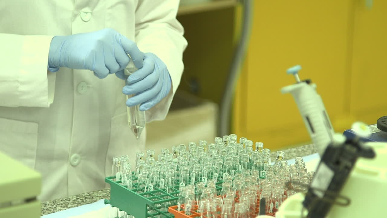 científicos de la salud trabajan en un laboratorio para detectar la gripe aviar 1