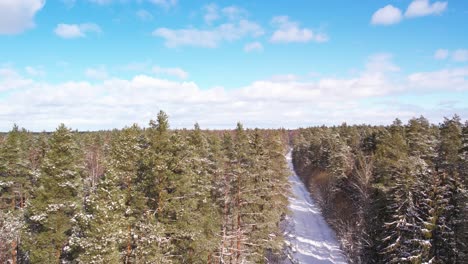 Vista-Aérea-De-Un-Dron-Volando-Sobre-Un-Camino-Forestal-En-Invierno