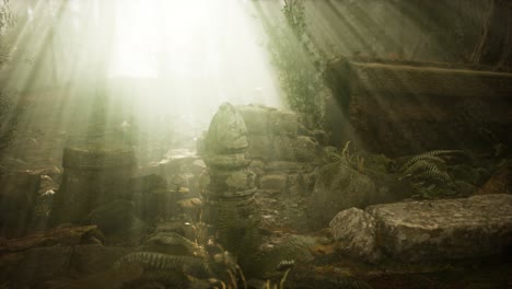 hoary ruins of ancient city in pine forest