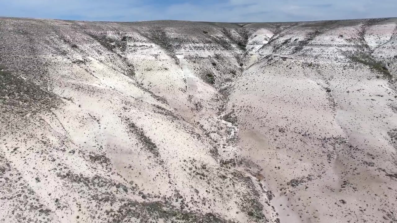 Vista aerea di un paesaggio desertico arido con profondi canyon