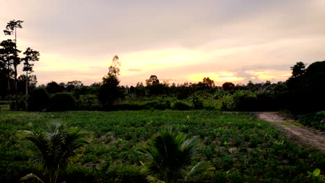 drone shot aerial view twilight time scenic landscape of agriculture farm in dry countryside with dark and grain processed