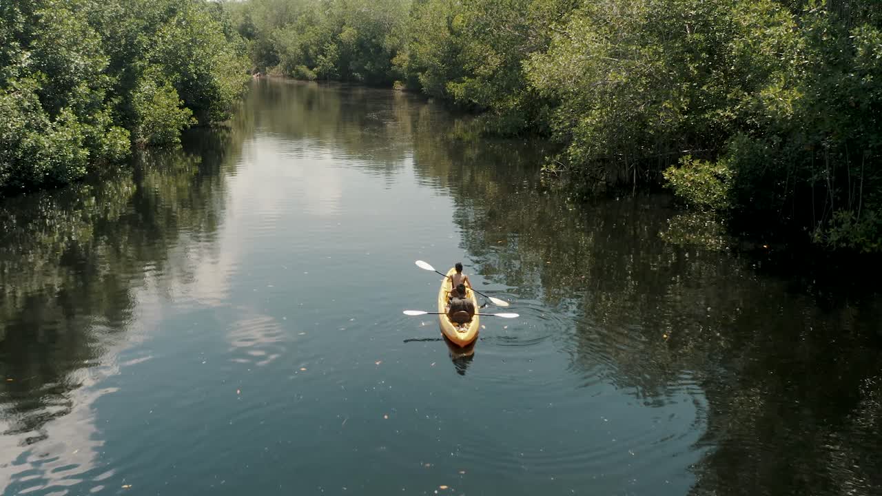 Premium stock video - Tourist kayaking at mangrove lake forest in el ...