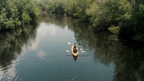 tourist kayaking at mangrove lake forest in el paredón, escuintla, guatemala