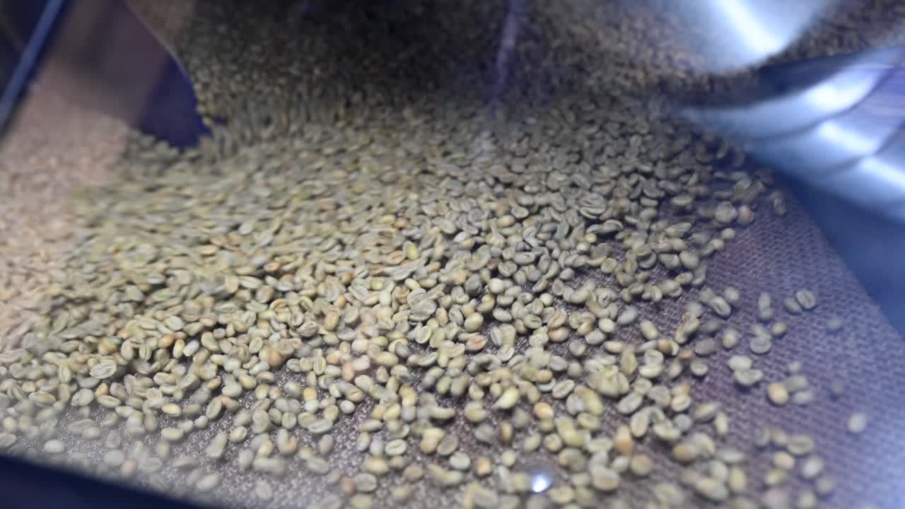 Unroasted raw green coffee beans are dried in the container, coffee industry slow motion
