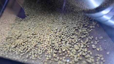 Unroasted-raw-green-coffee-beans-are-dried-in-the-container,-coffee-industry-slow-motion