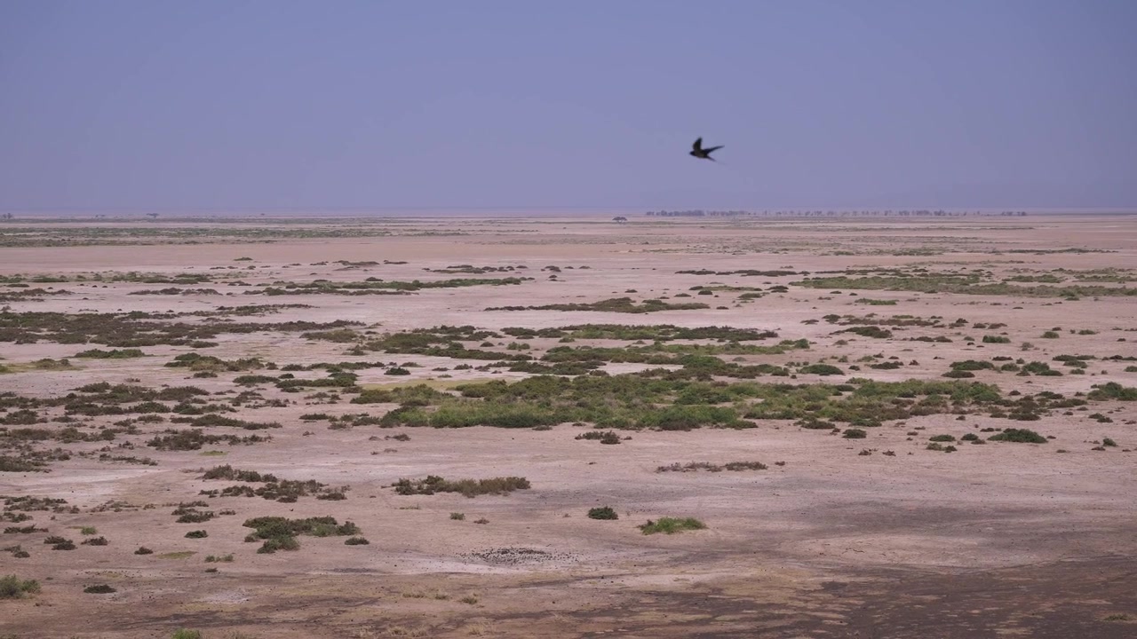 Kenya Dry Season, Arid Landscape Scenery, Amboseli Aerial Elevated View in Wide Angle Establishing Shot on Blue Sky Sunny Day.