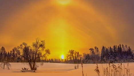 soft golden glowing sunrise over a snowy meadow of snow and foliage - dreamy time lapse