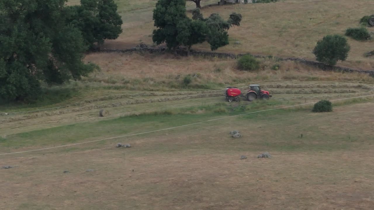 167mm slow motion drone footage of a red farm tractor pulling a red baler passing lines of cut hay in a meadow with the collection area marked, some trees and patches of grass resprouting appear