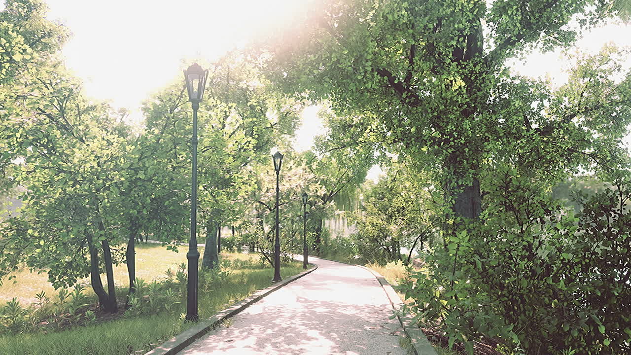 멋지고 편안한 큰 정원에서 비어있는 거리