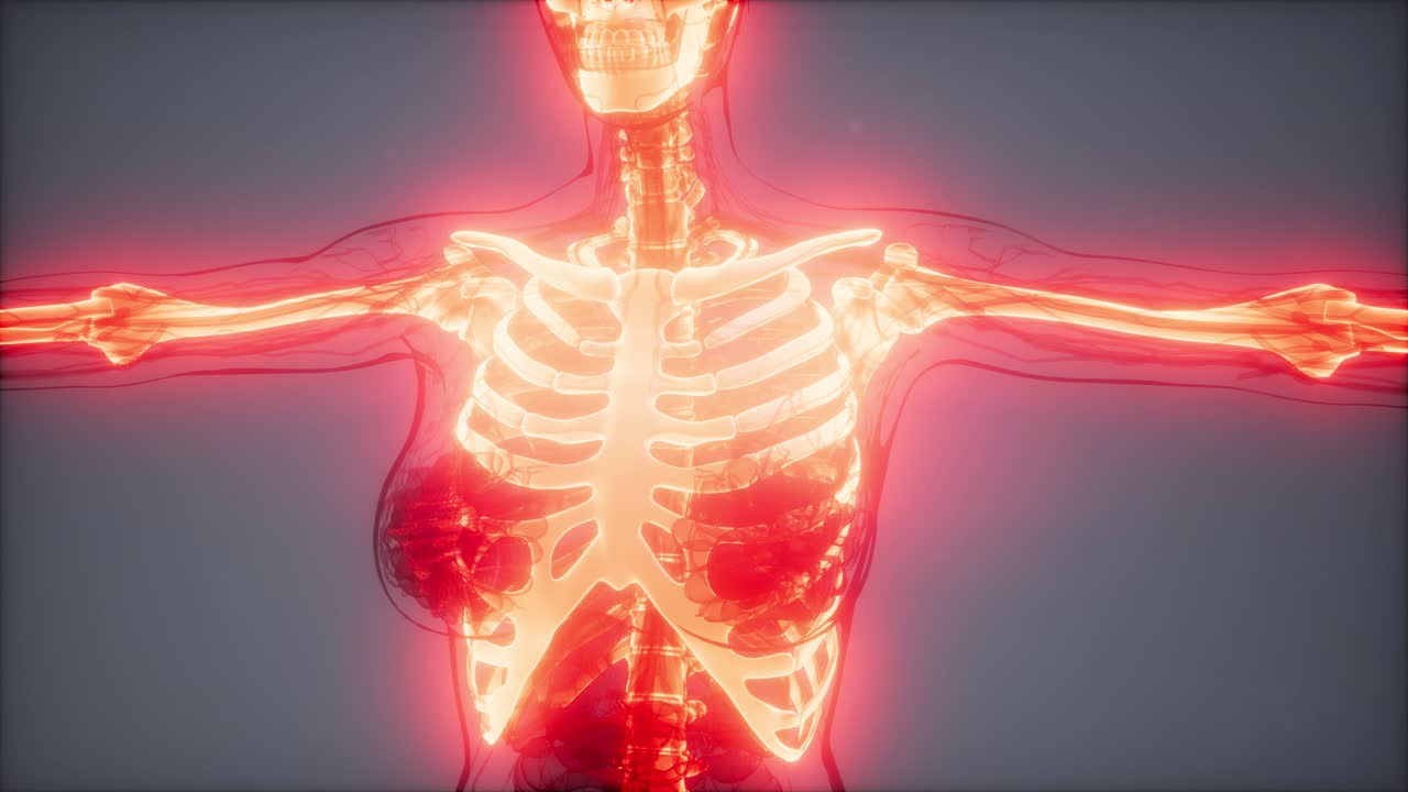 눈에 띄는  ⁇ 가 있는 투명한 인간 몸