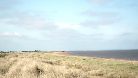 A-walk-along-the-beach-never-hurts