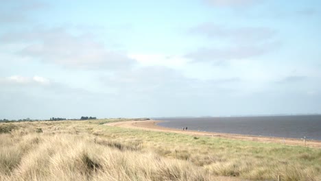 A walk along the beach never hurts