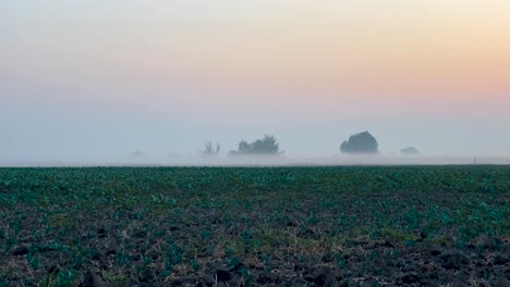 static shot of morning mist over open field at sunrise