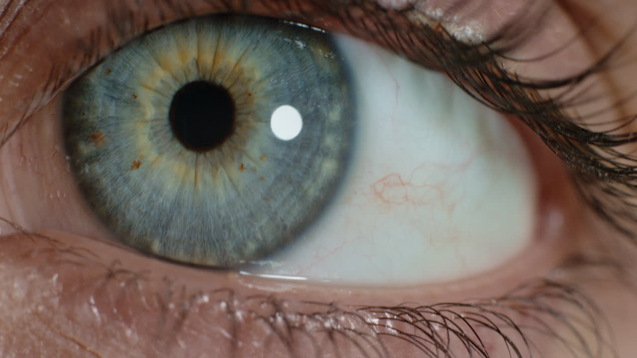 cerrar el ojo humano macro belleza