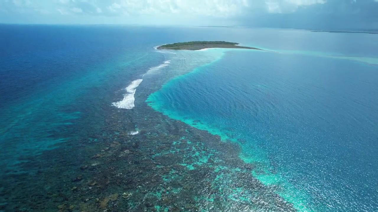 Vivace barriera corallina e limpide onde blu dell'oceano sotto la luce del sole, vista aerea.