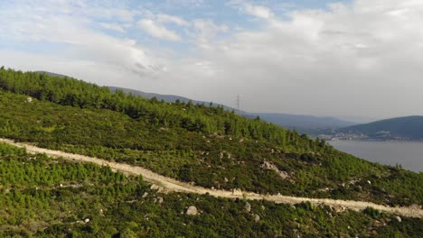 Vuelo-Aéreo-A-Través-De-Un-Hermoso-Bosque-De-Pinos-En-La-Montaña,-Balikesir,-Turquía