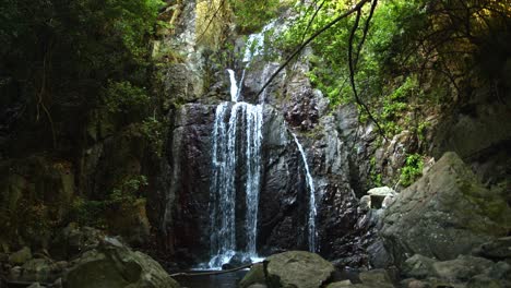 vista cinematográfica del arroyo de la cascada en la cueva y el bosque exuberante, vista estática