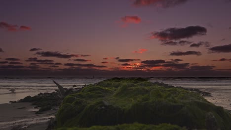 a seagull is flying over a groyne at a red sunset colored idyllic part of a beach with clouds at the end of a wonderful day in summer