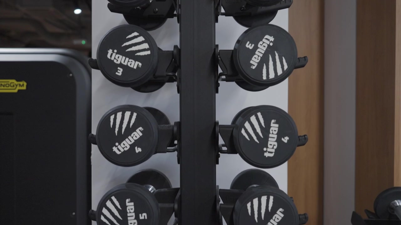 A close camera move passes compact dumbbells arranged by size on a vertical storage rack in a gym.