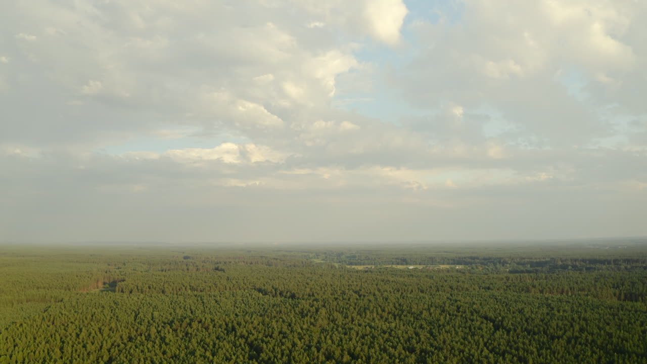 Aerial shot of endless forest canopy stretching to the horizon beneath soft, scattered clouds. Soft, evening light