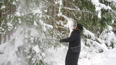 snowfall covered forest, attractive adult female shaking branches of tree