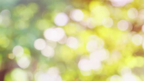 Abstract spring background with bokeh